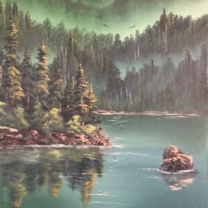 Still Reflections